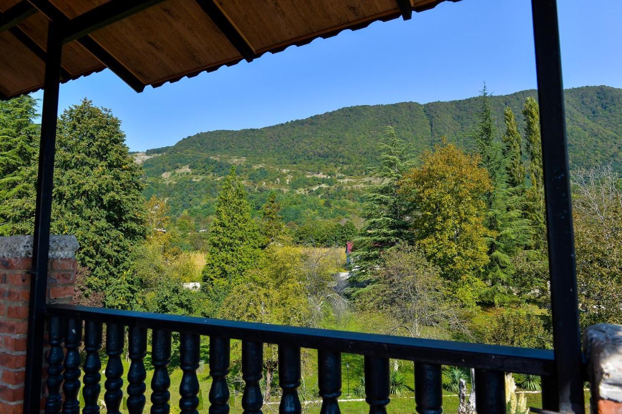 ホテル Chateau Chikovani Gordi エクステリア 写真
