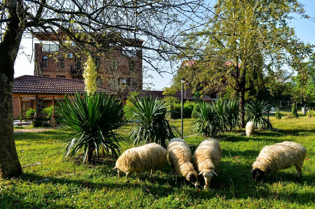 ホテル Chateau Chikovani Gordi エクステリア 写真
