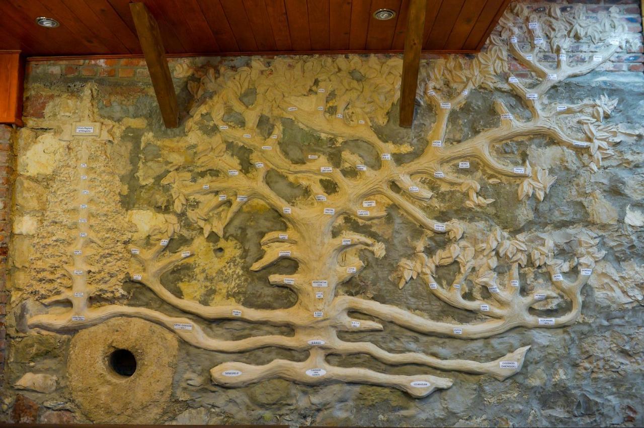 ホテル Chateau Chikovani Gordi エクステリア 写真