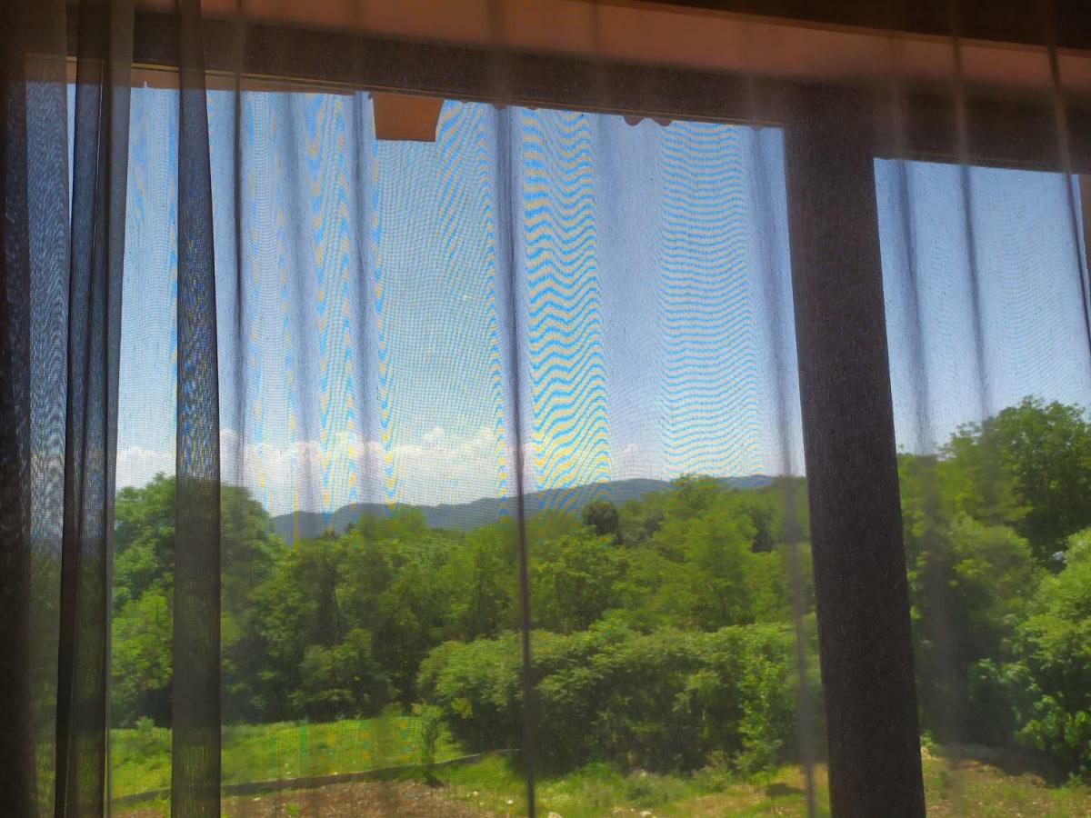 ホテル Chateau Chikovani Gordi エクステリア 写真
